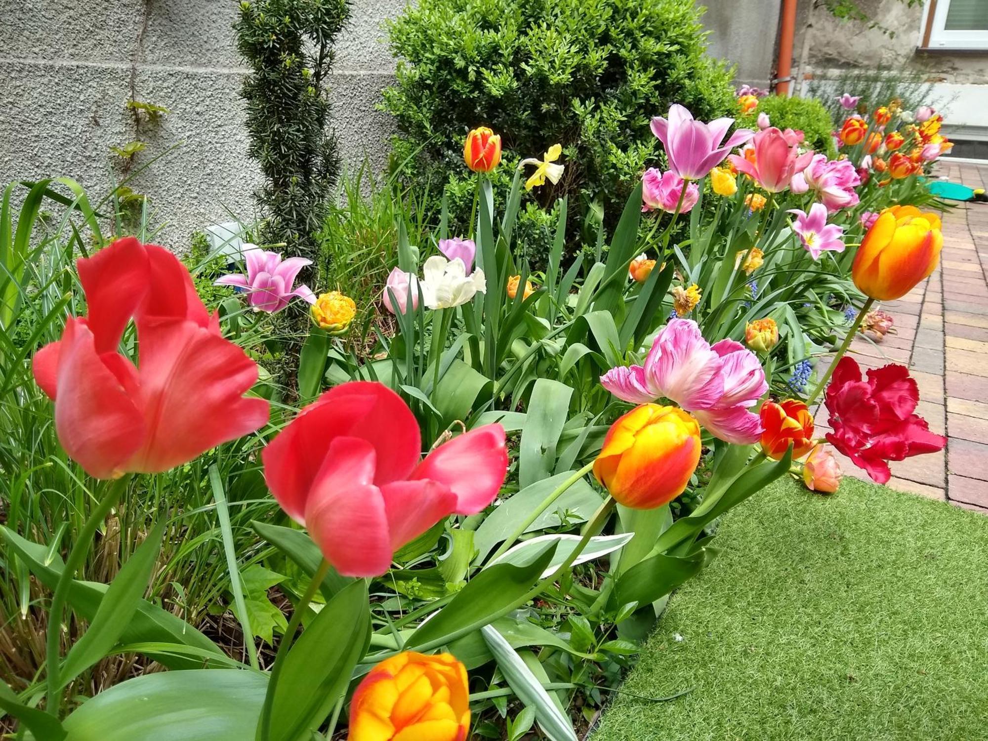 Poezja Apartament *